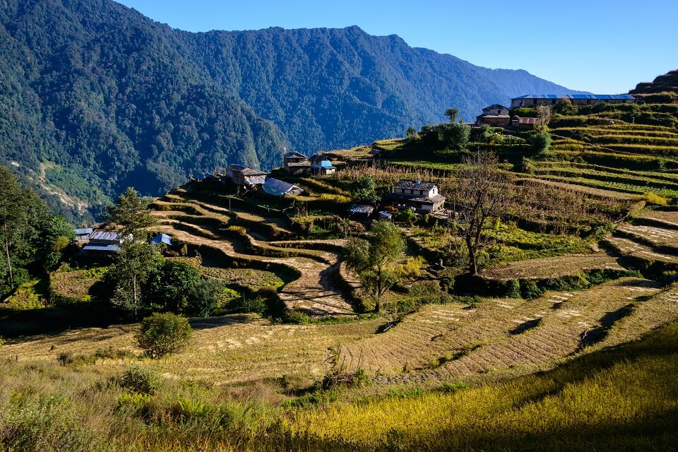 Annapurna Community trek – terrasvelden en huizen langs de trails