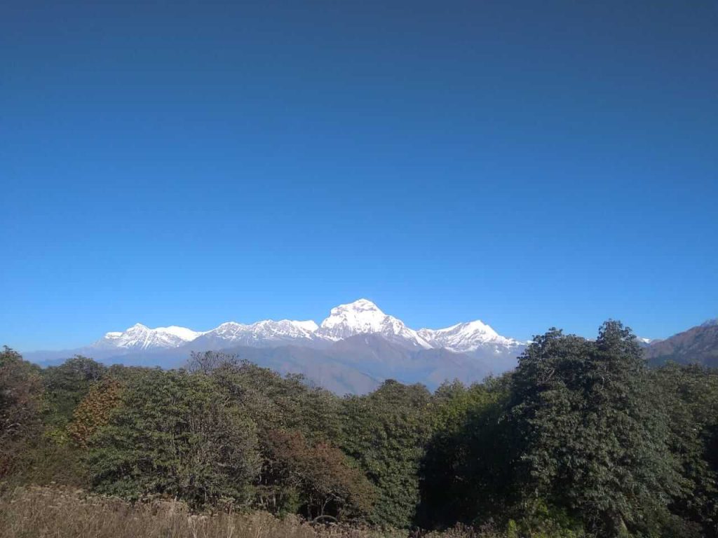 Annapurna Community trek – uitzicht op de besneeuwde toppen van de Himalayas tijdens de trekking