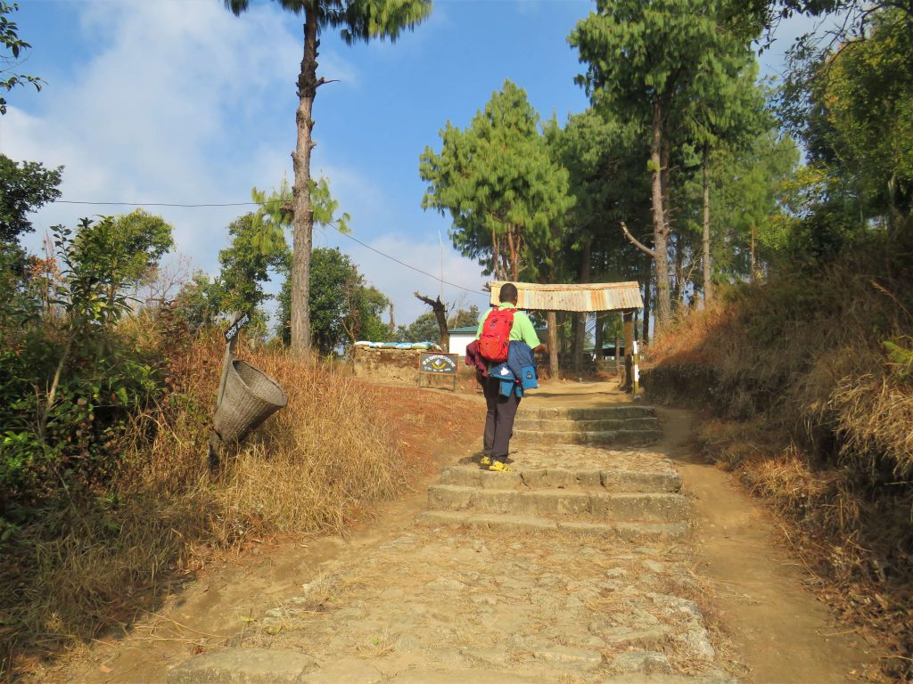 Helambu trekking – wandelen op aangelegde paden door naaldbossen