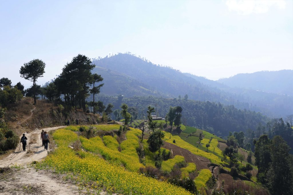 Kathmandu vallei trekking - wandelen doorheen de velden