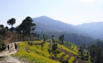 Kathmandu vallei trekking - wandelen doorheen de velden