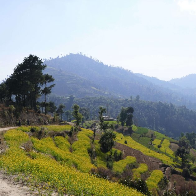 Kathmandu vallei trekking - wandelen doorheen de velden