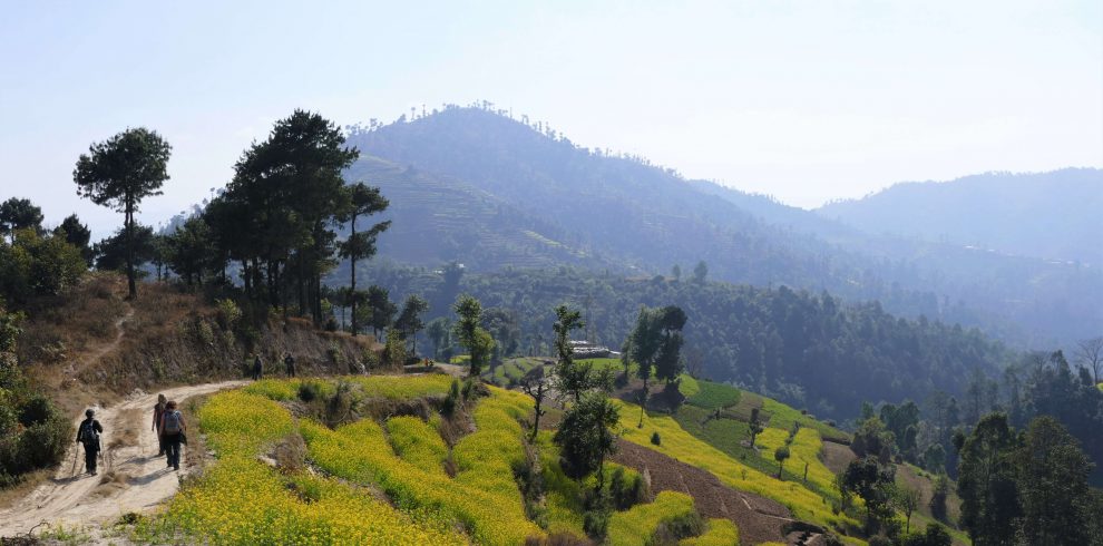 Kathmandu vallei trekking - wandelen doorheen de velden