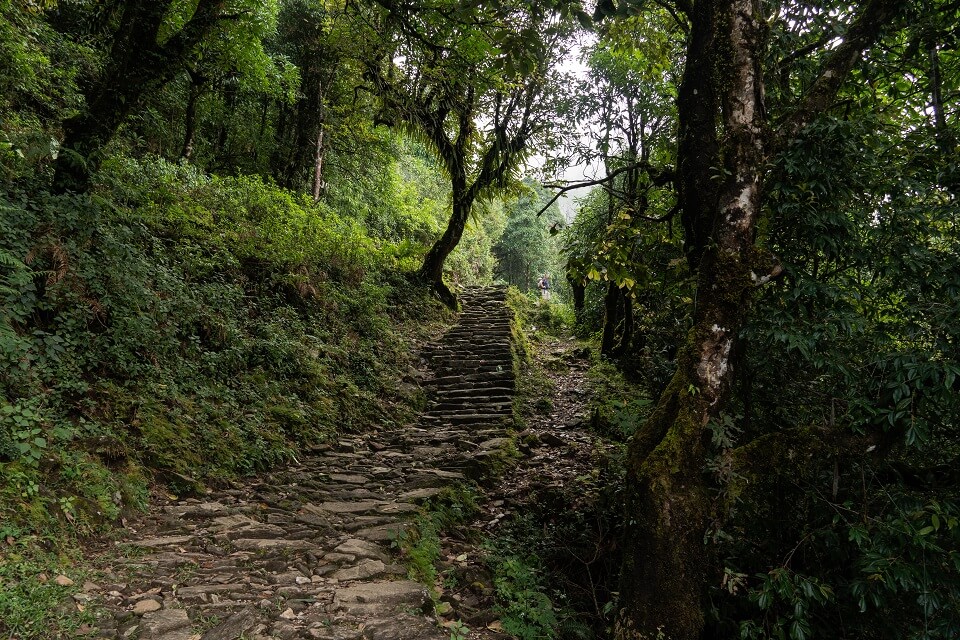 Mardi Himal trekking – de trekking start door groene dichtbeboste regio