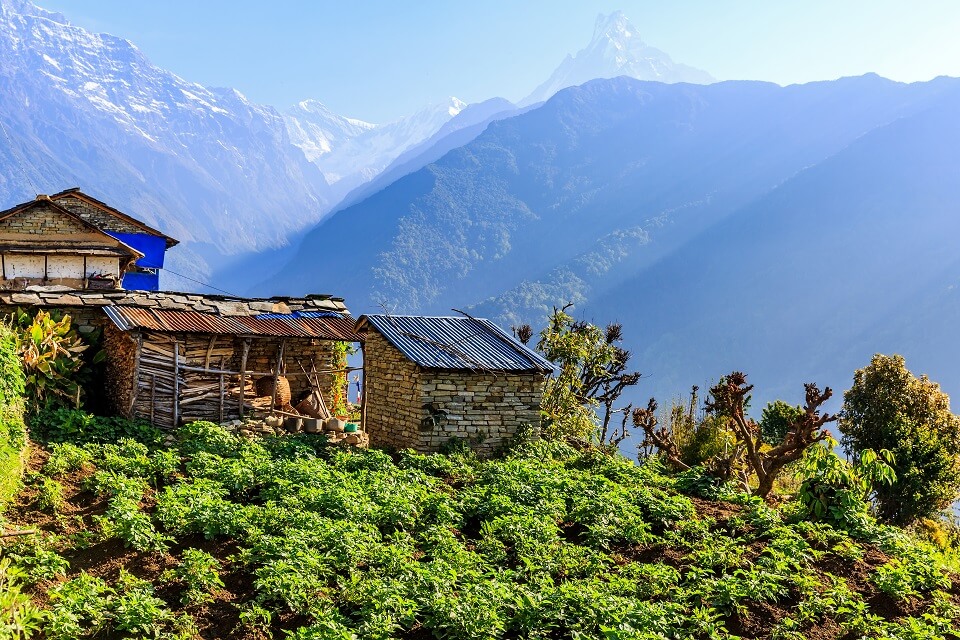 Poon Hill & Muldai Peak trekking – typisch Nepalese woning en zicht op de Himalayas met de Macchapuchare