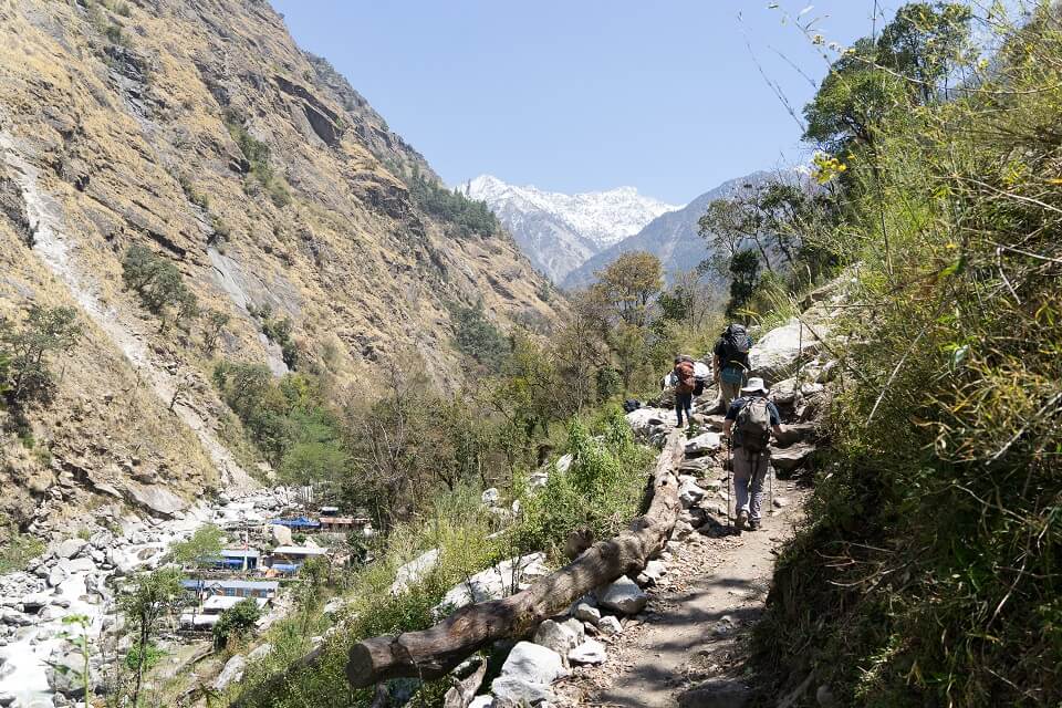 Langtang vallei trekking – trekkers wandelen met gids